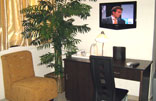 Executive Classic Room